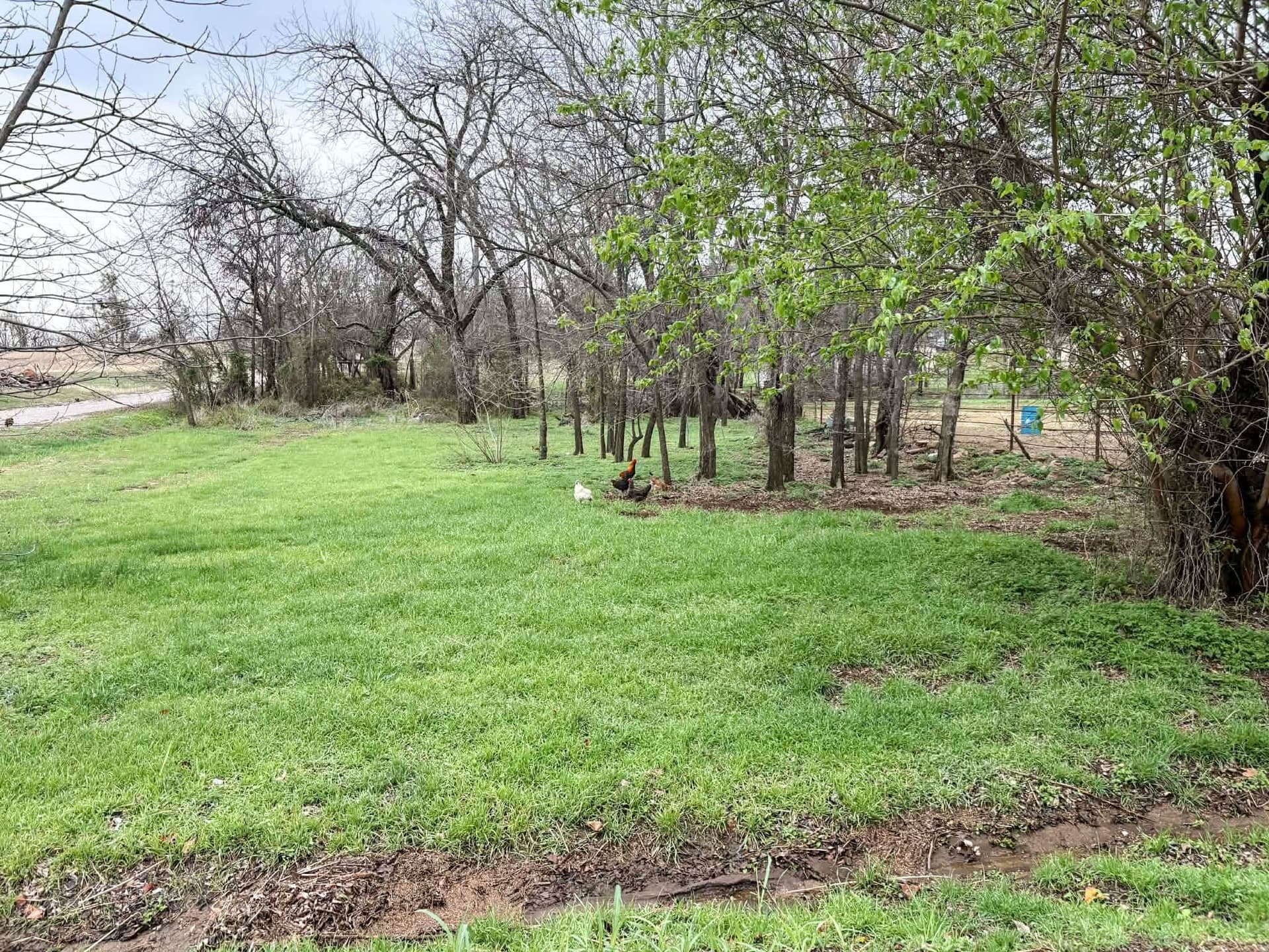 0.13 acres in Eastland County gallery image 3