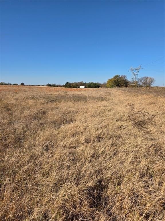 15.42 acres in Fannin County gallery image 4