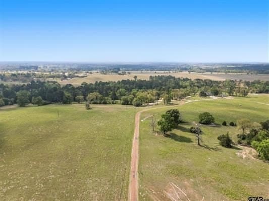 94.93 acres in HOUSTON County gallery image 4