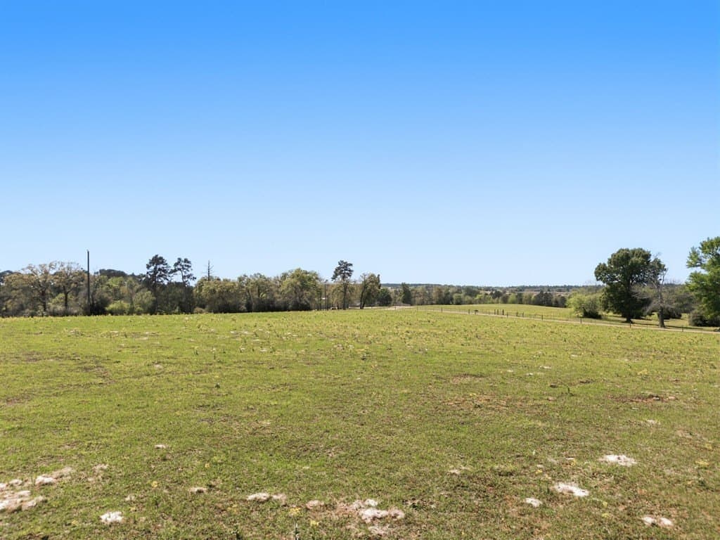 94.93 acres in HOUSTON County gallery image 3