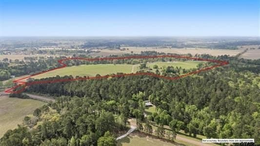 94.93 acres in HOUSTON County - photo 47