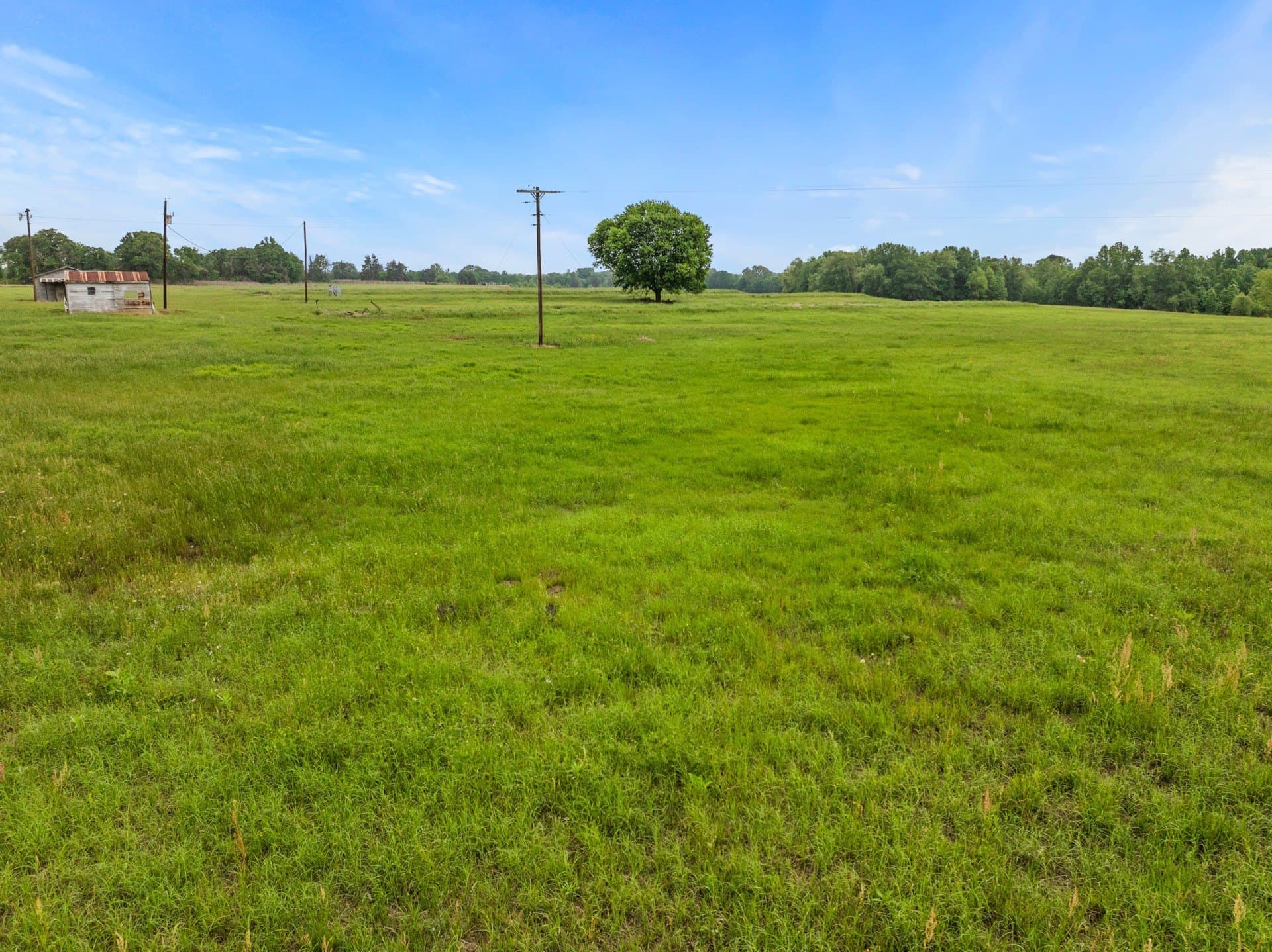 34.04 acres in Camp County - photo 8