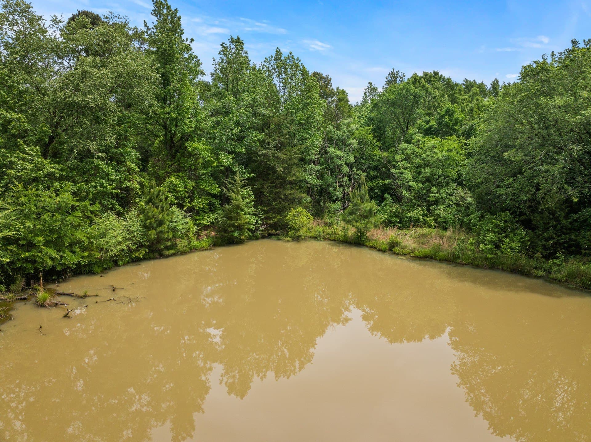 34.04 acres in Camp County - photo 14