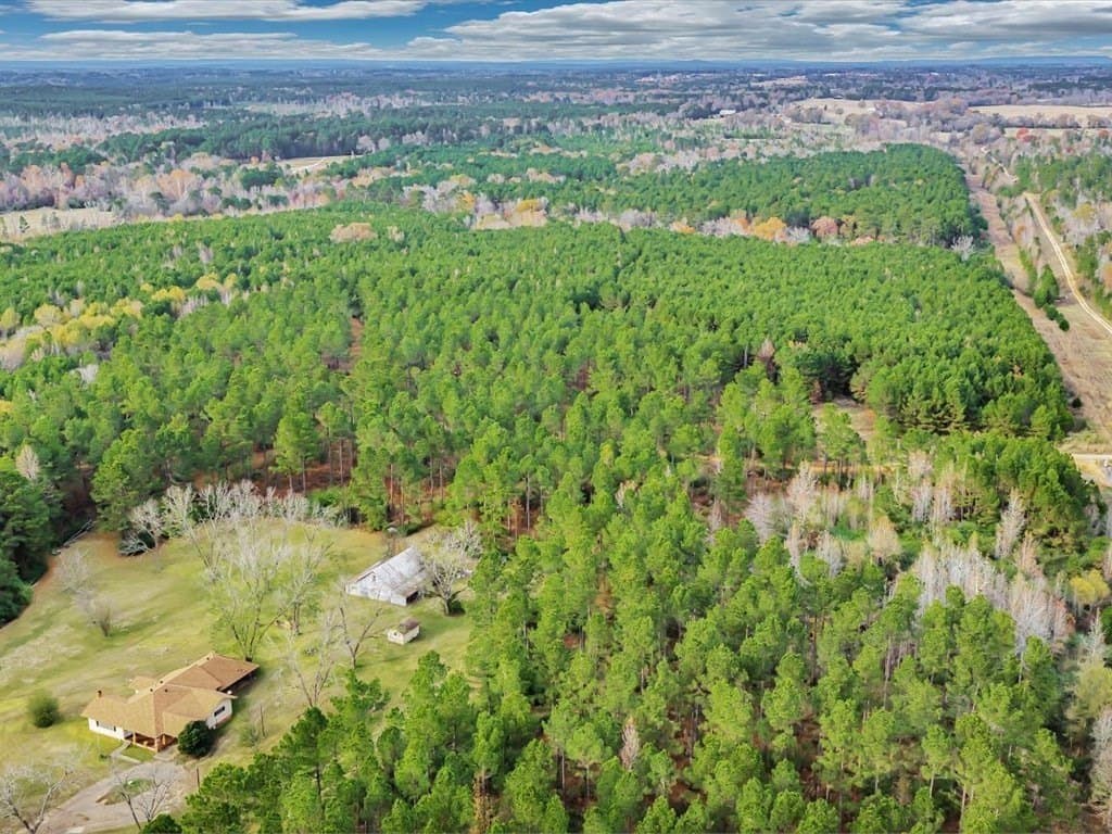 47 acres in Texas County - photo 18