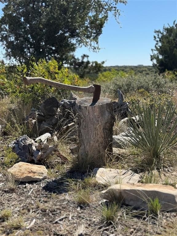 156 acres in Taylor County gallery image 4