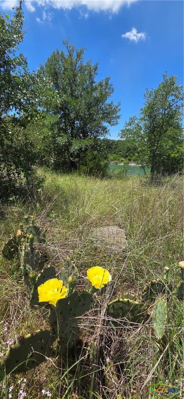 0.39 acres in Bell County featured view