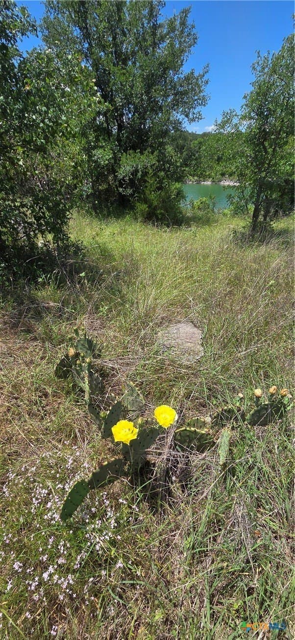 0.39 acres in Bell County gallery image 3