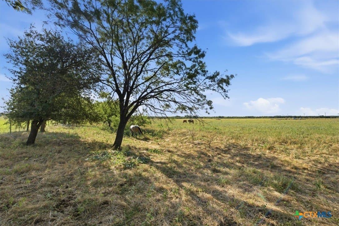 15 acres in Coryell County - photo 9