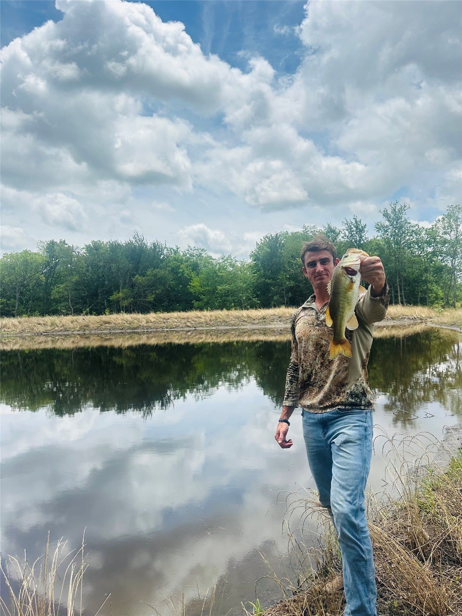14.22 acres in Fannin County gallery image 4