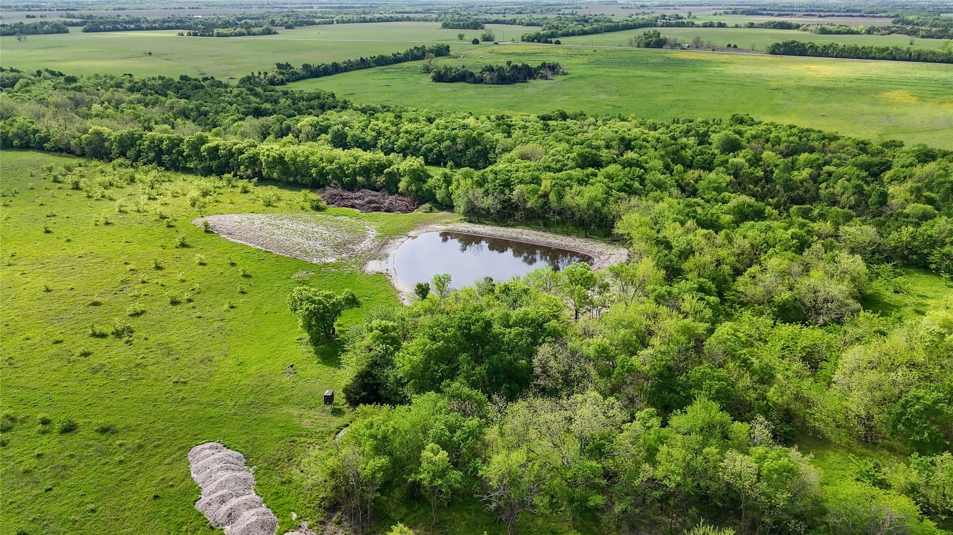 14.22 acres in Fannin County gallery image 2