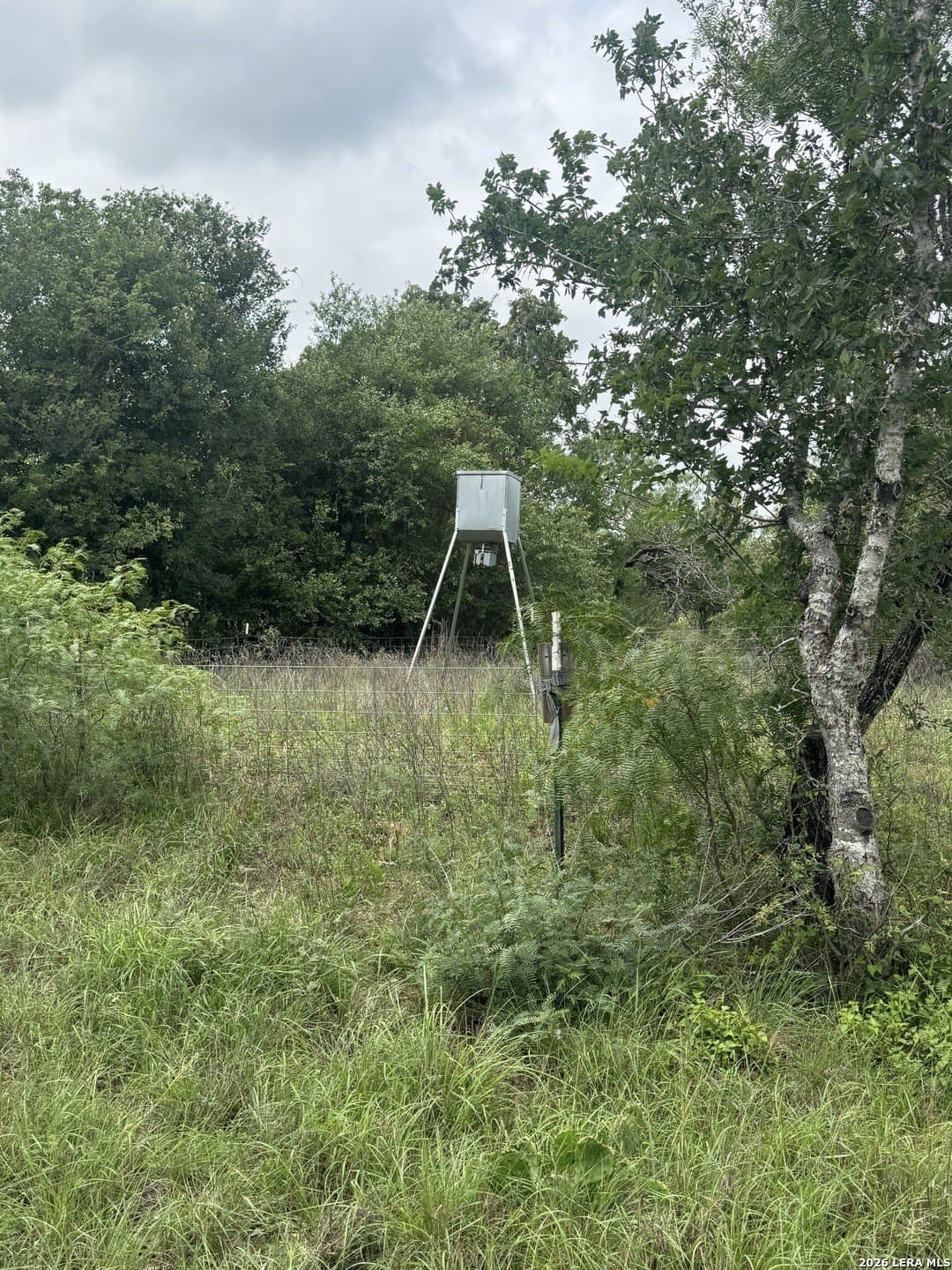 52.97 acres in Guadalupe County gallery image 4