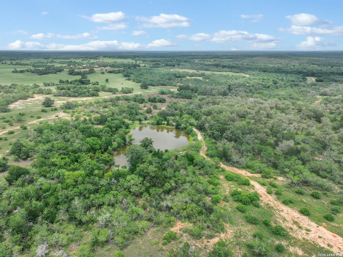 52.97 acres in Guadalupe County gallery image 3
