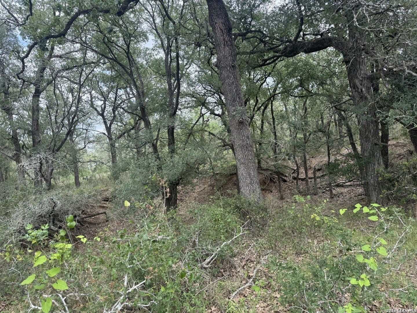 52.97 acres in Guadalupe County - photo 8