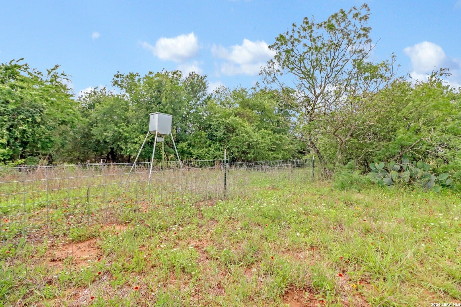 52.97 acres in Guadalupe County - photo 18