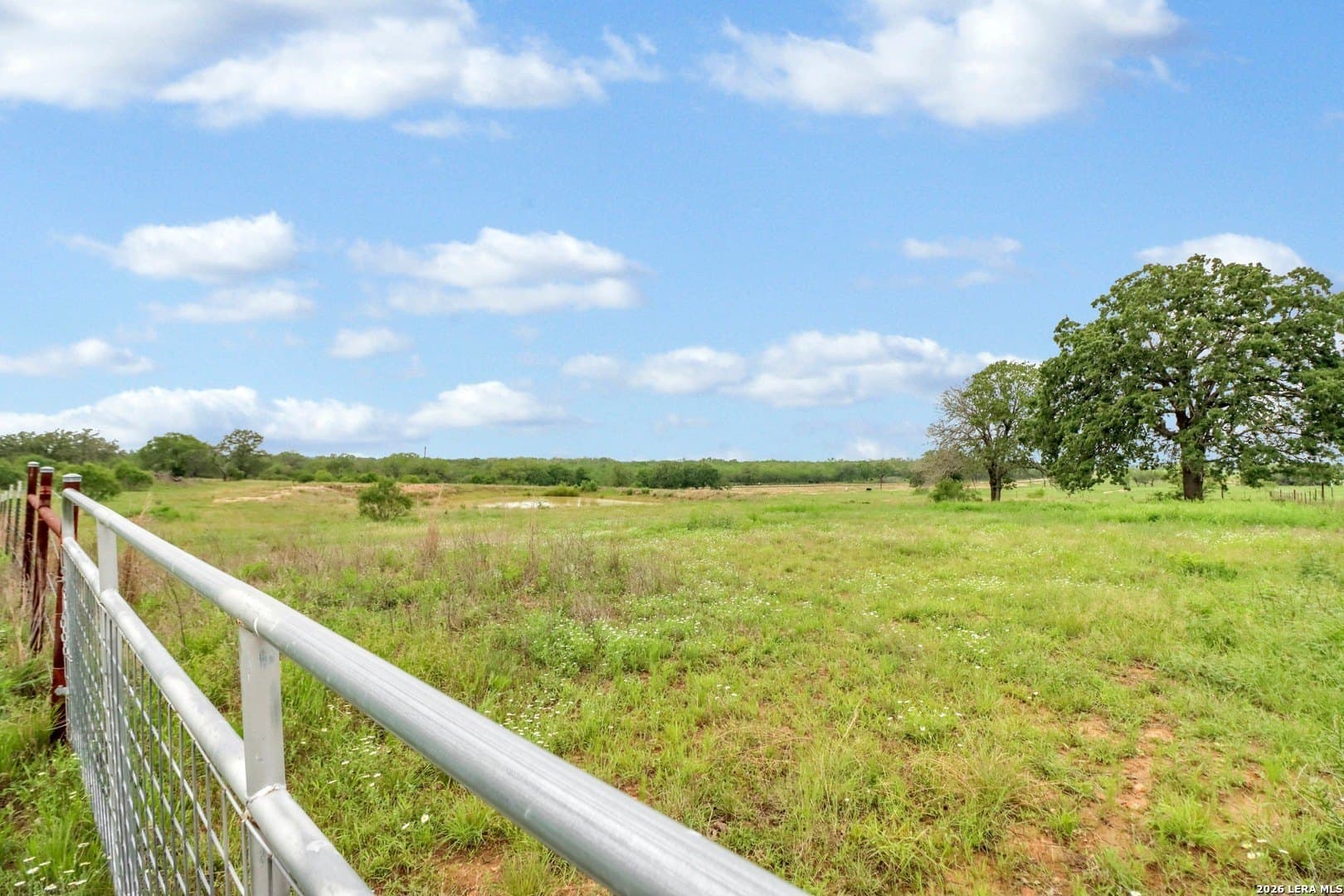 52.97 acres in Guadalupe County gallery image 2