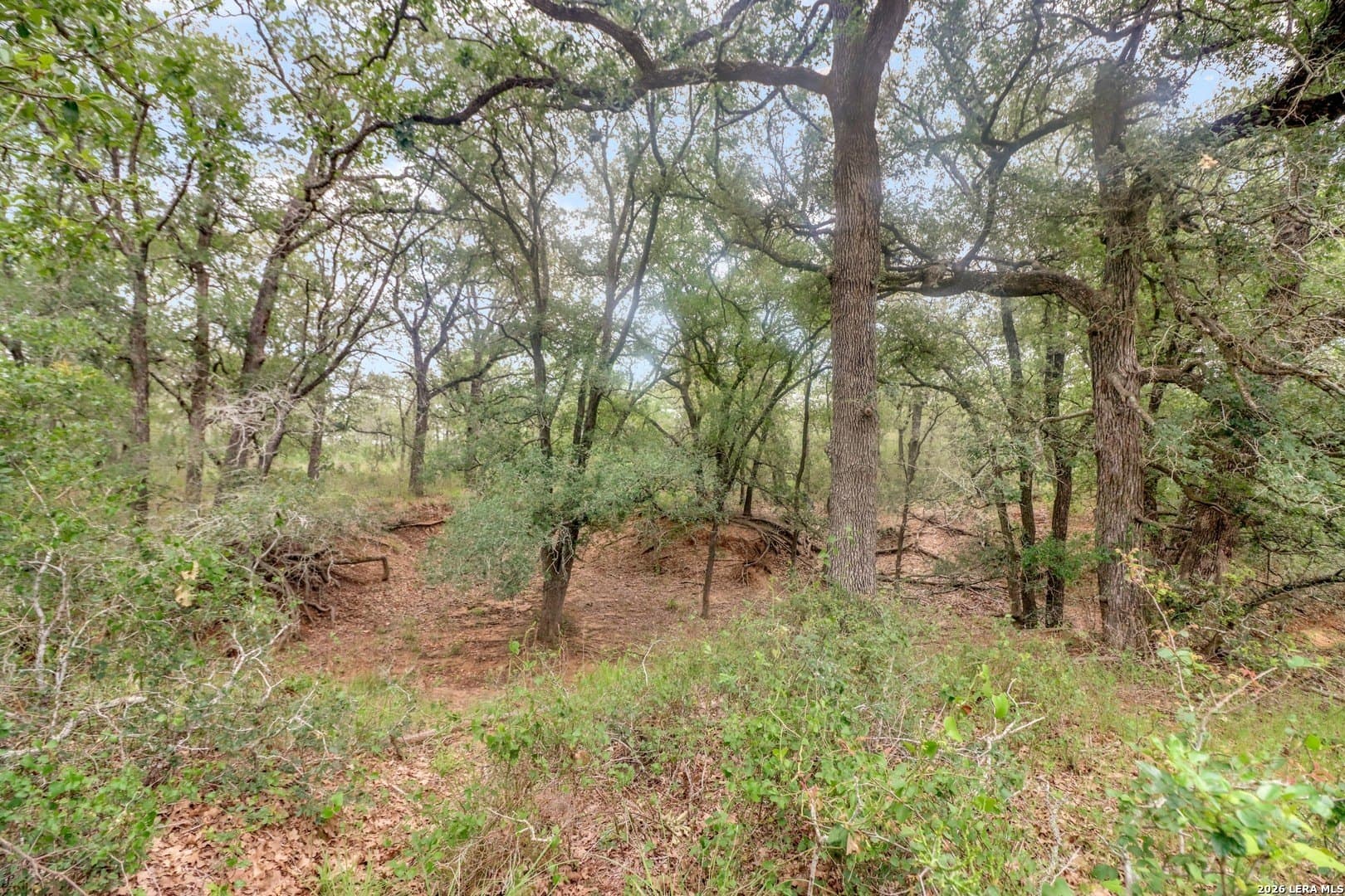 52.97 acres in Guadalupe County - photo 23