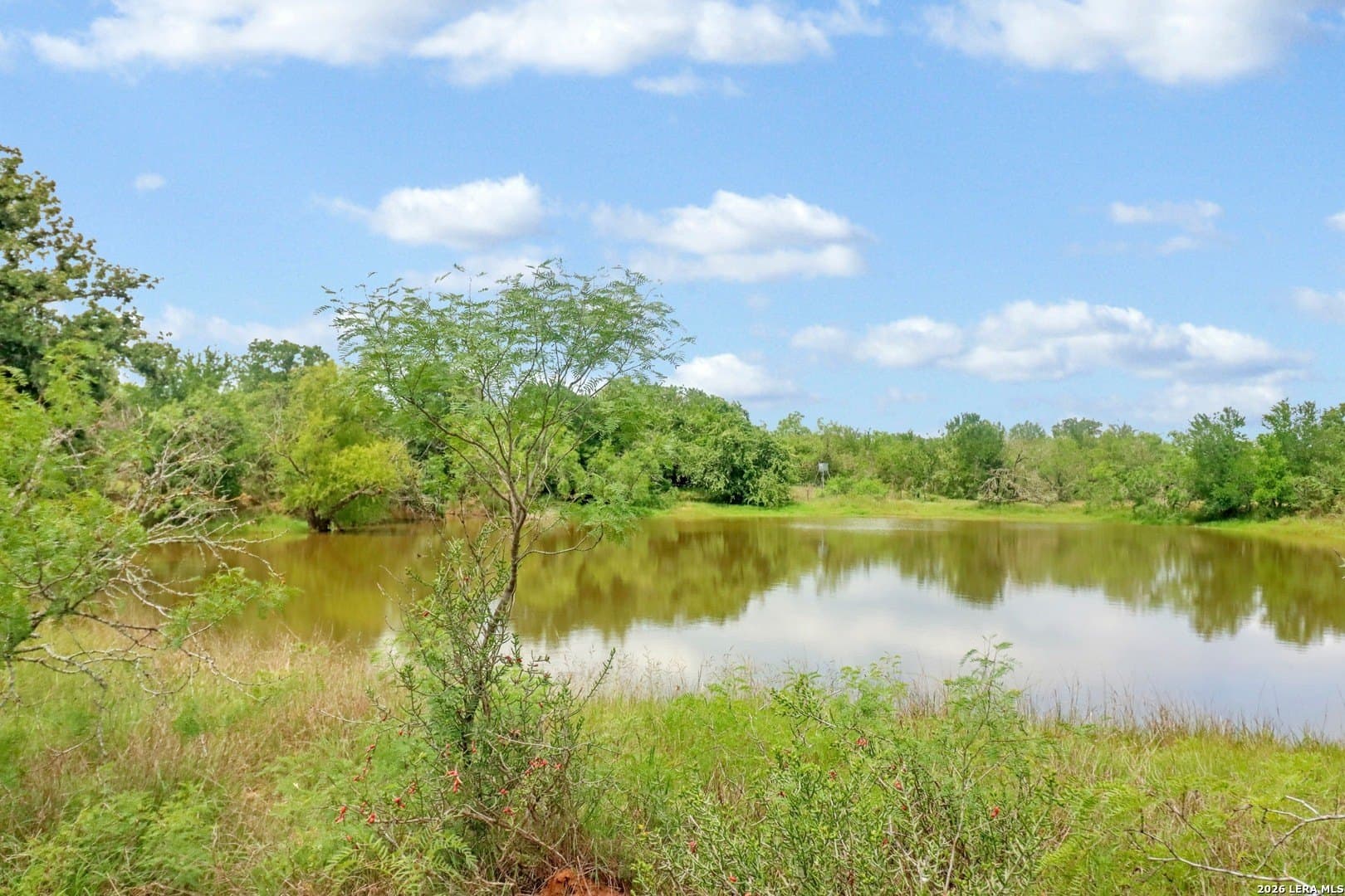 52.97 acres in Guadalupe County - photo 19