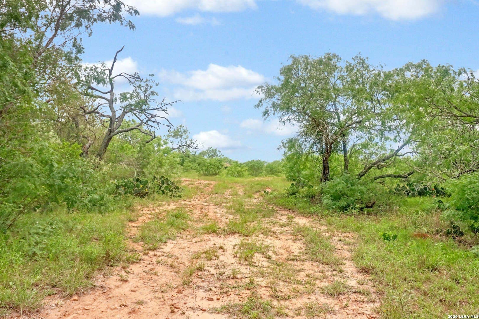 52.97 acres in Guadalupe County - photo 20