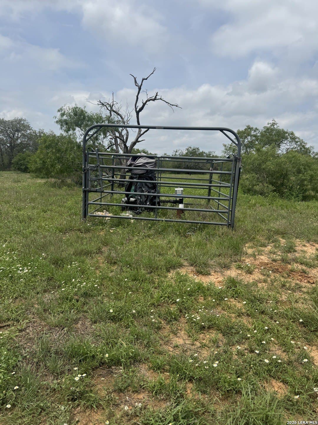 52.97 acres in Guadalupe County - photo 6