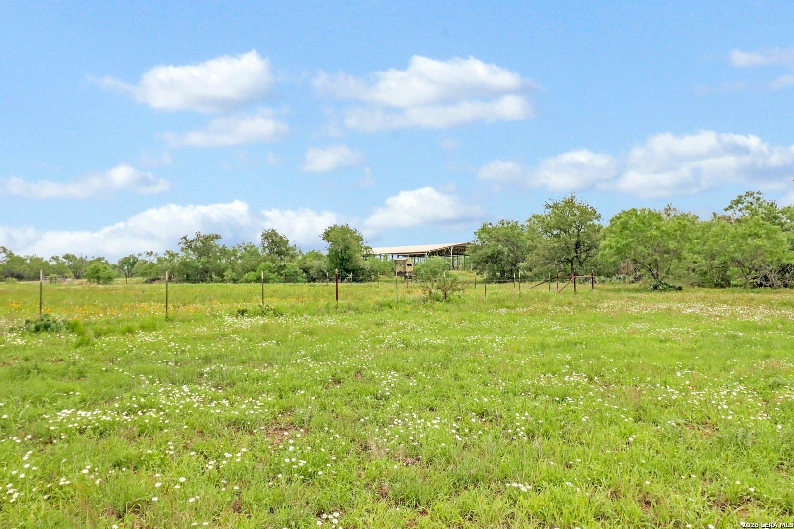 52.97 acres in Guadalupe County - photo 16