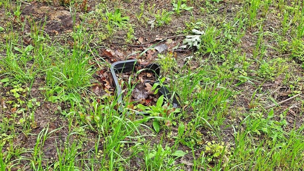 0.12 acres in Henderson County gallery image 3