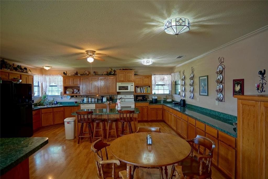 26.79 acres in Delta County gallery image 4