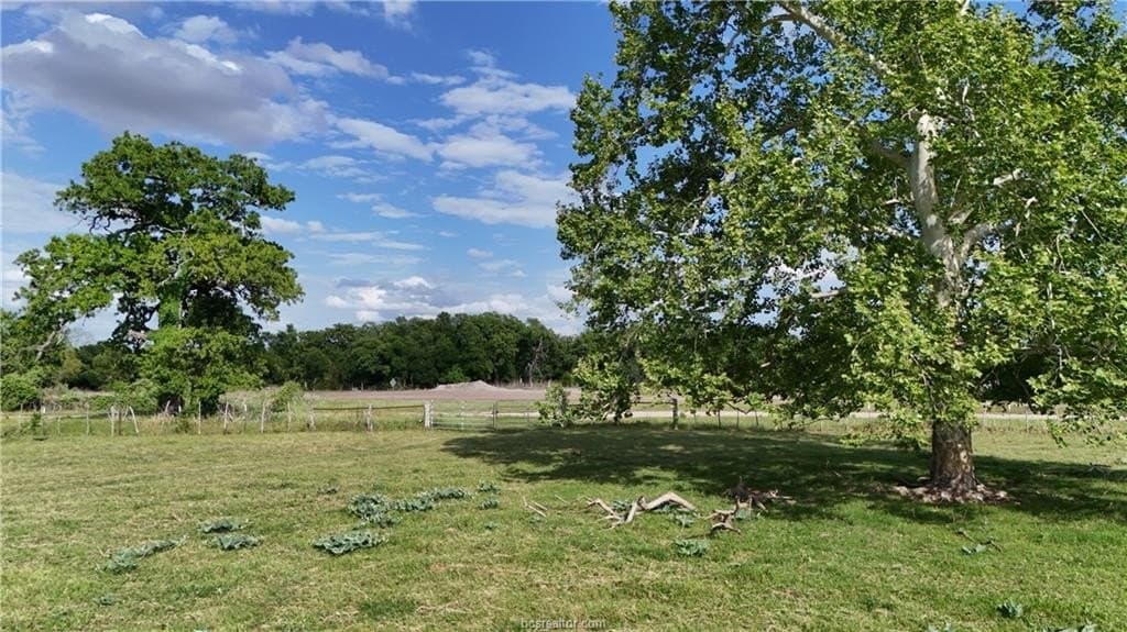 60 acres in Falls County gallery image 4