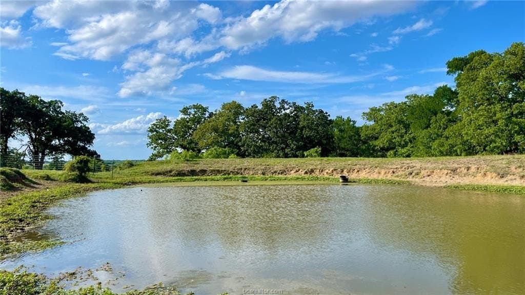 60 acres in Falls County gallery image 2