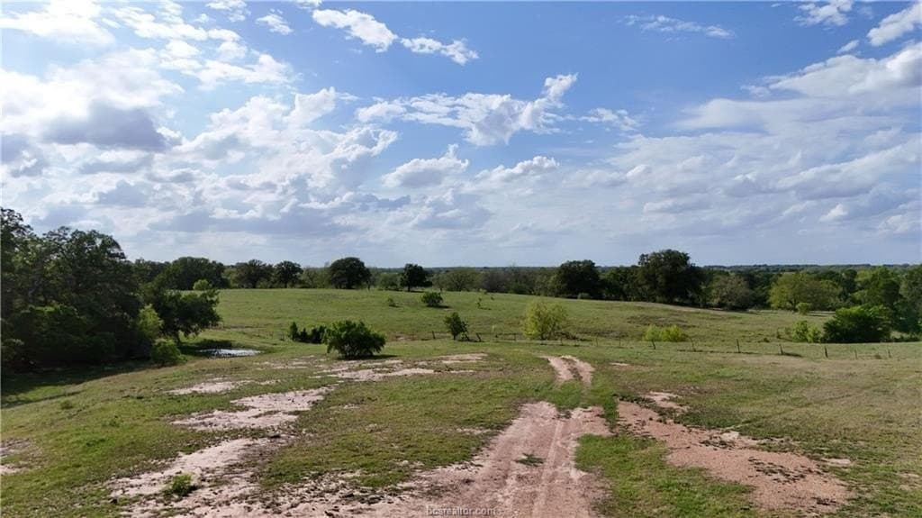 60 acres in Falls County - photo 10
