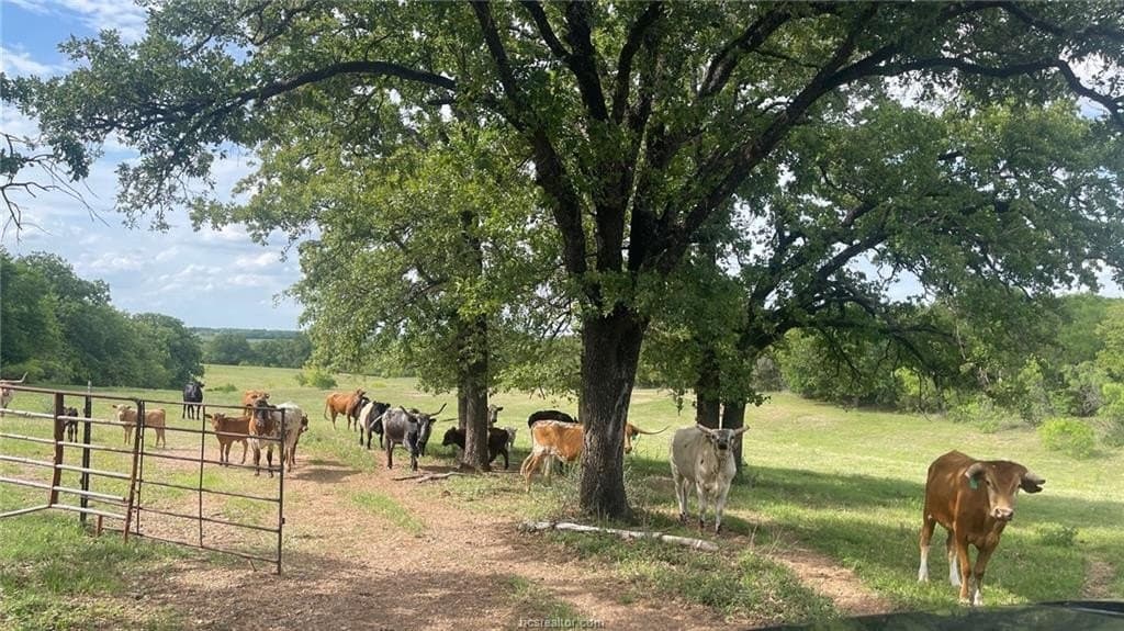 60 acres in Falls County - photo 14