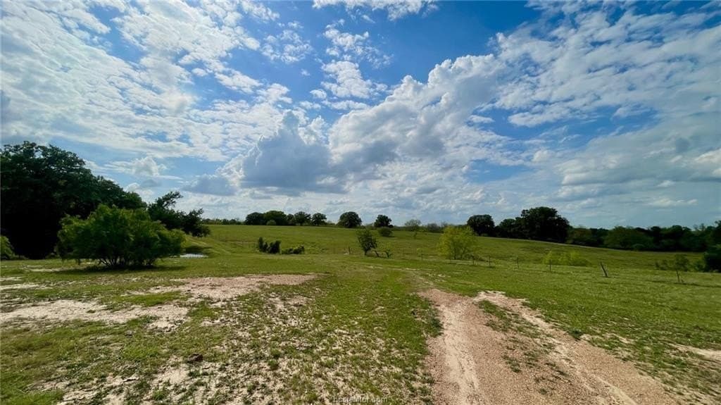 60 acres in Falls County - photo 15