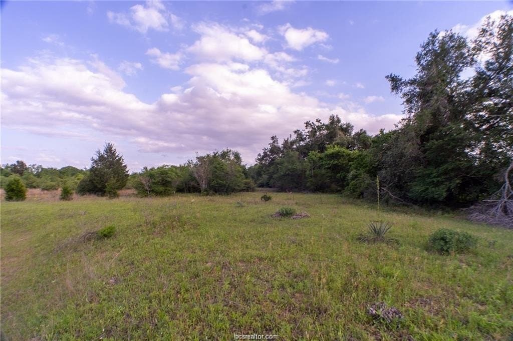 32.75 acres in Robertson County gallery image 3