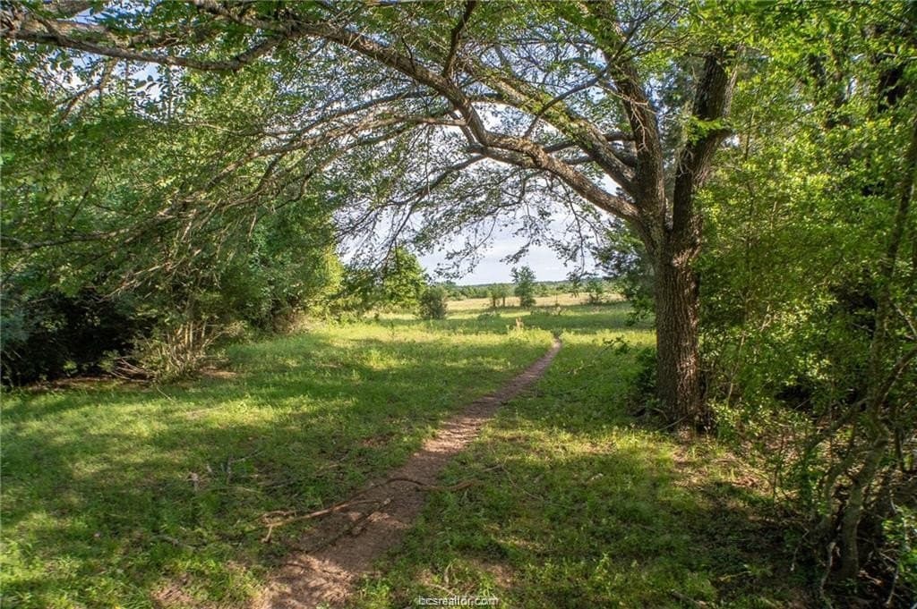 32.75 acres in Robertson County gallery image 4