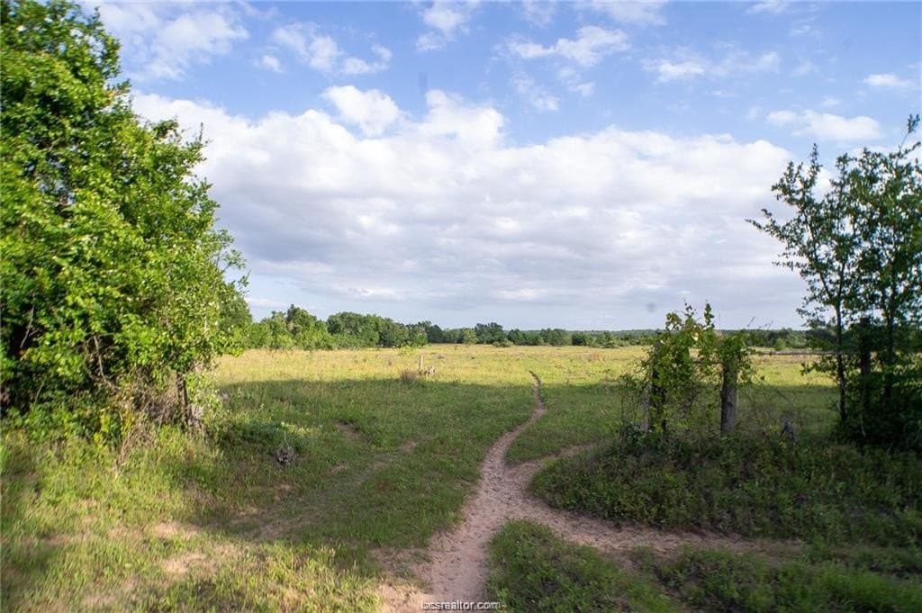 32.75 acres in Robertson County featured view