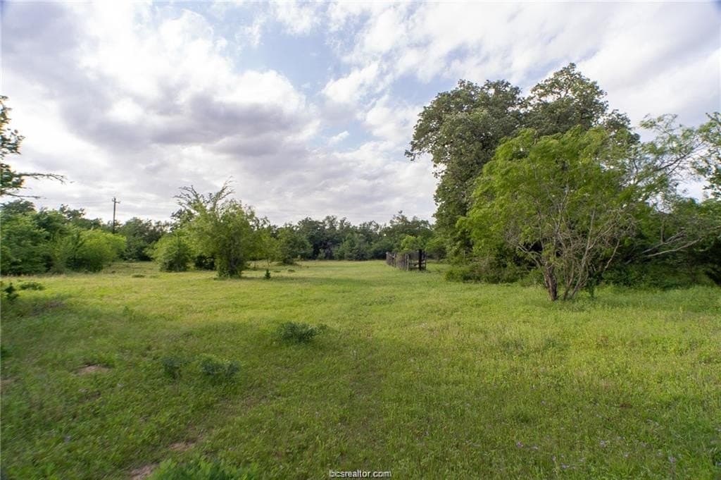 32.75 acres in Robertson County gallery image 2