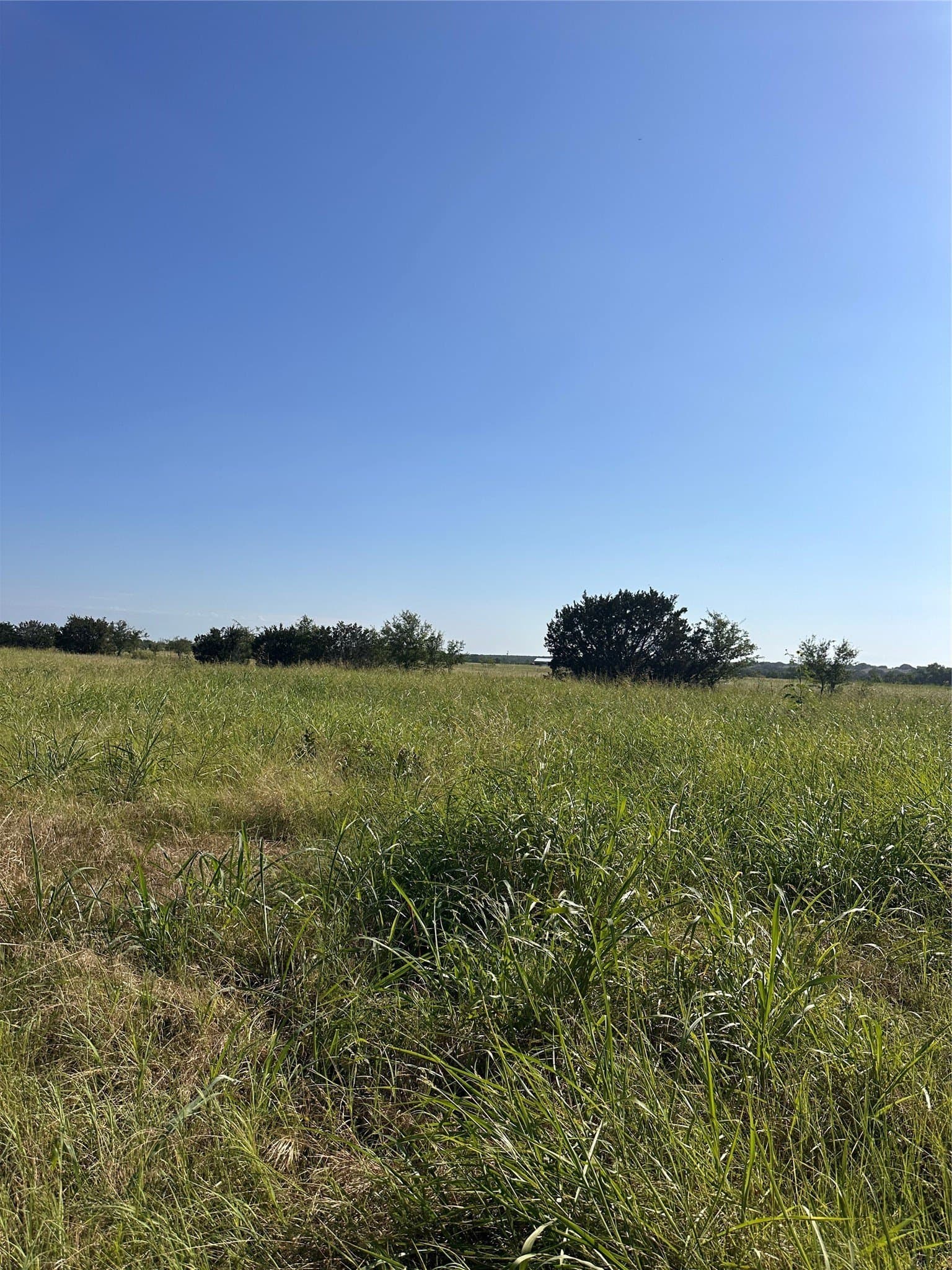 10.34 acres in Bosque County - photo 10