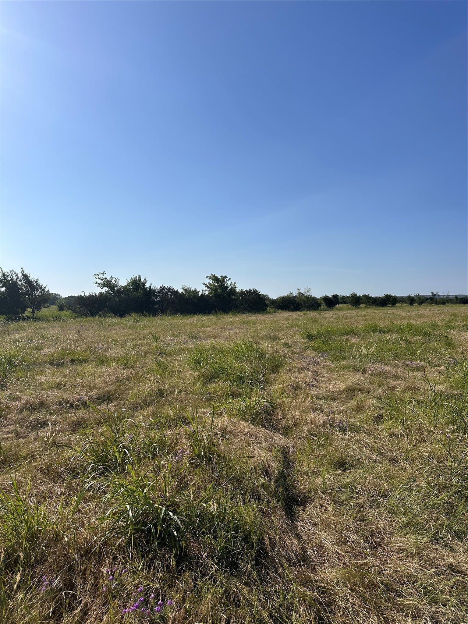 10.34 acres in Bosque County - photo 5