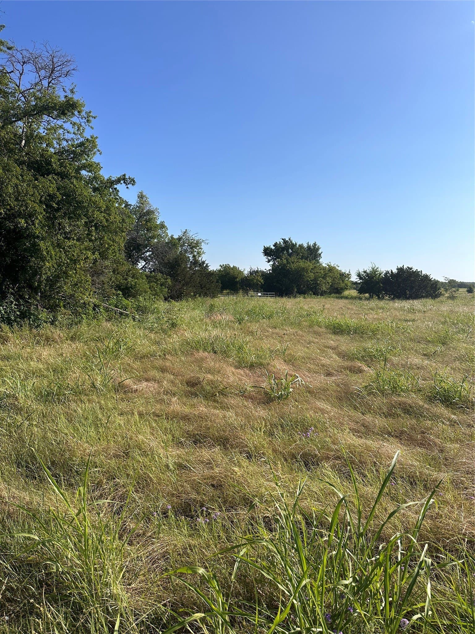 10.34 acres in Bosque County - photo 8
