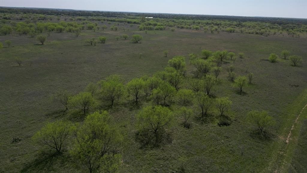 25 acres in Eastland County gallery image 2