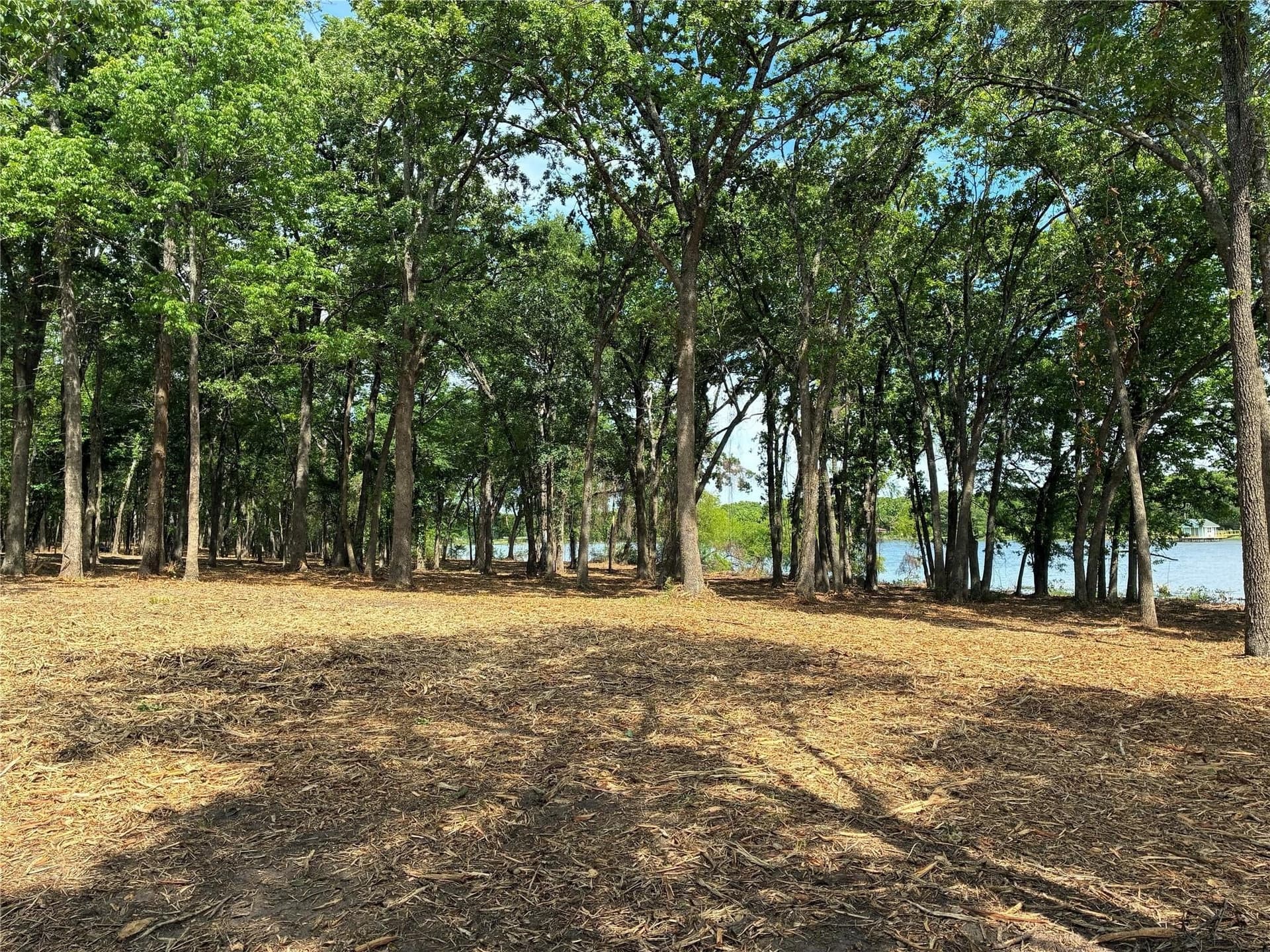 19.82 acres in Hunt County - photo 4
