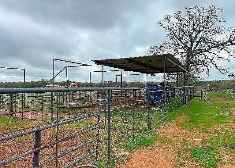 115 acres in Anderson County featured view