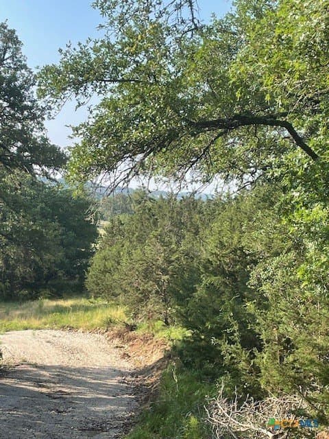 0.57 acres in Comal County - photo 5
