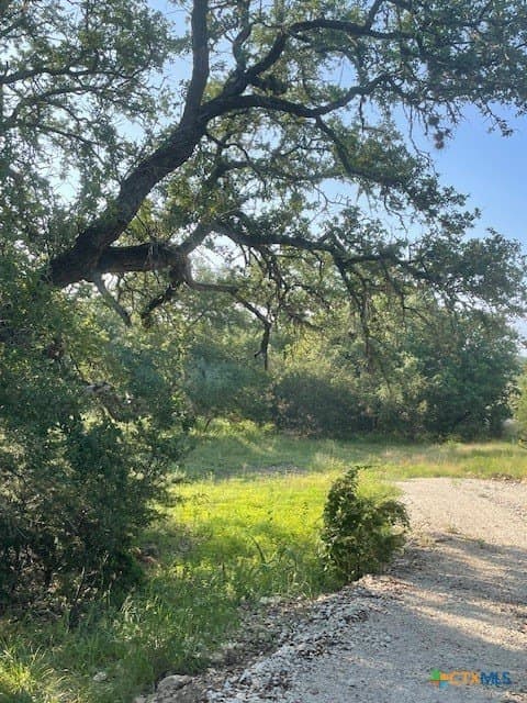 0.57 acres in Comal County - photo 3