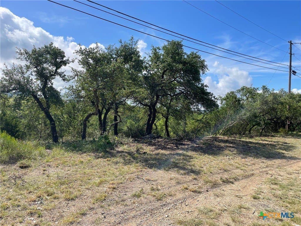 0.57 acres in Comal County - photo 9