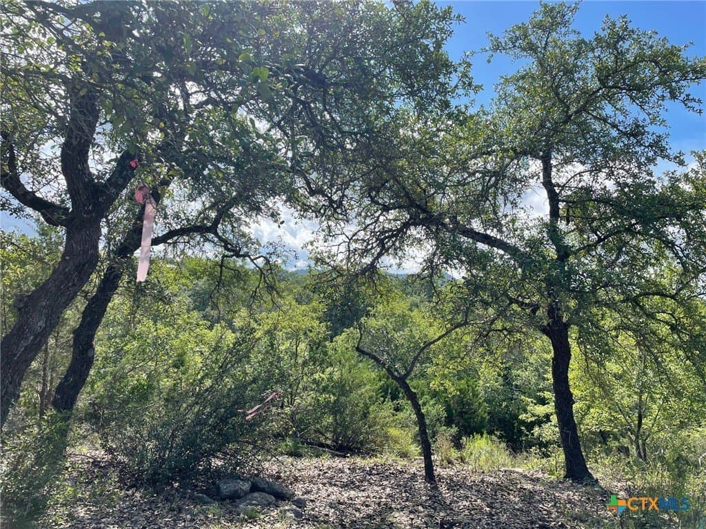 0.57 acres in Comal County - photo 8