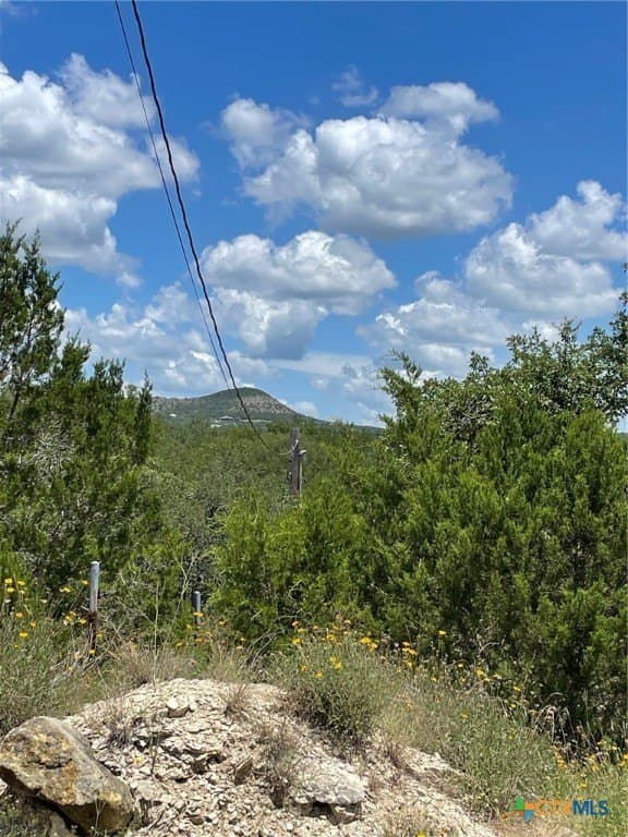 0.57 acres in Comal County - photo 4