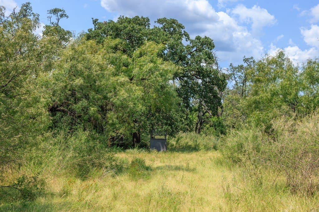 56 acres in Gillespie County - photo 11