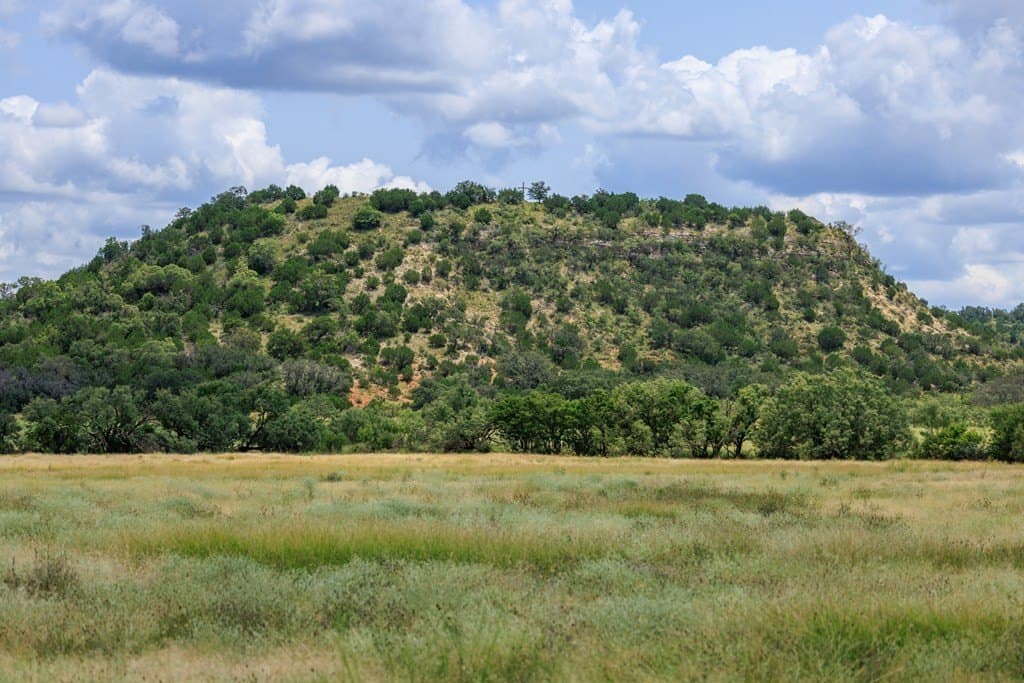 56 acres in Gillespie County - photo 6