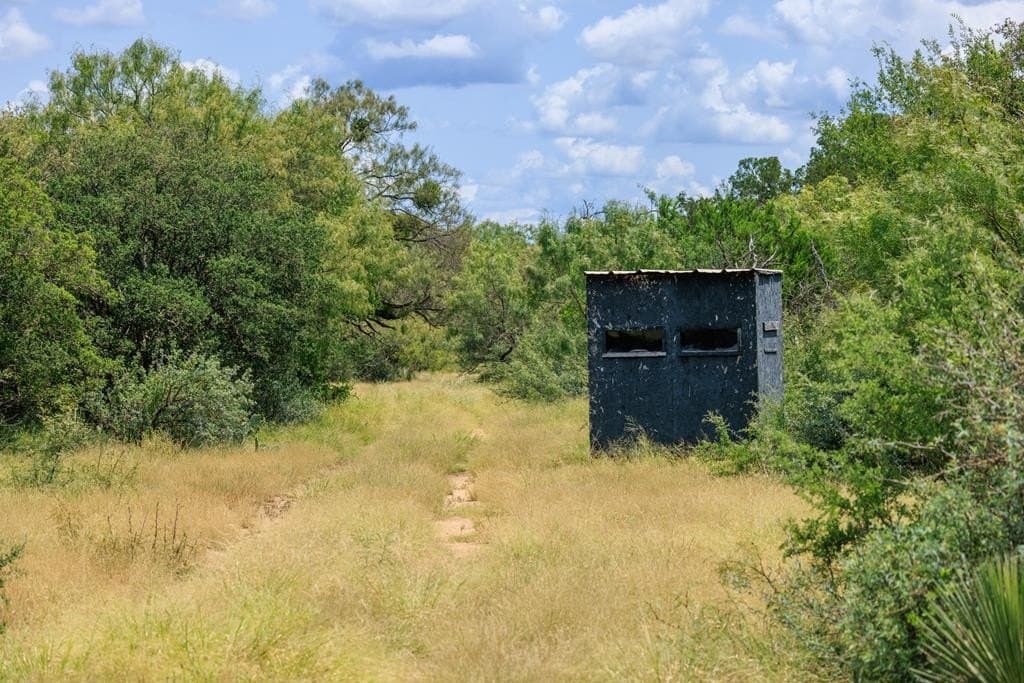 56 acres in Gillespie County