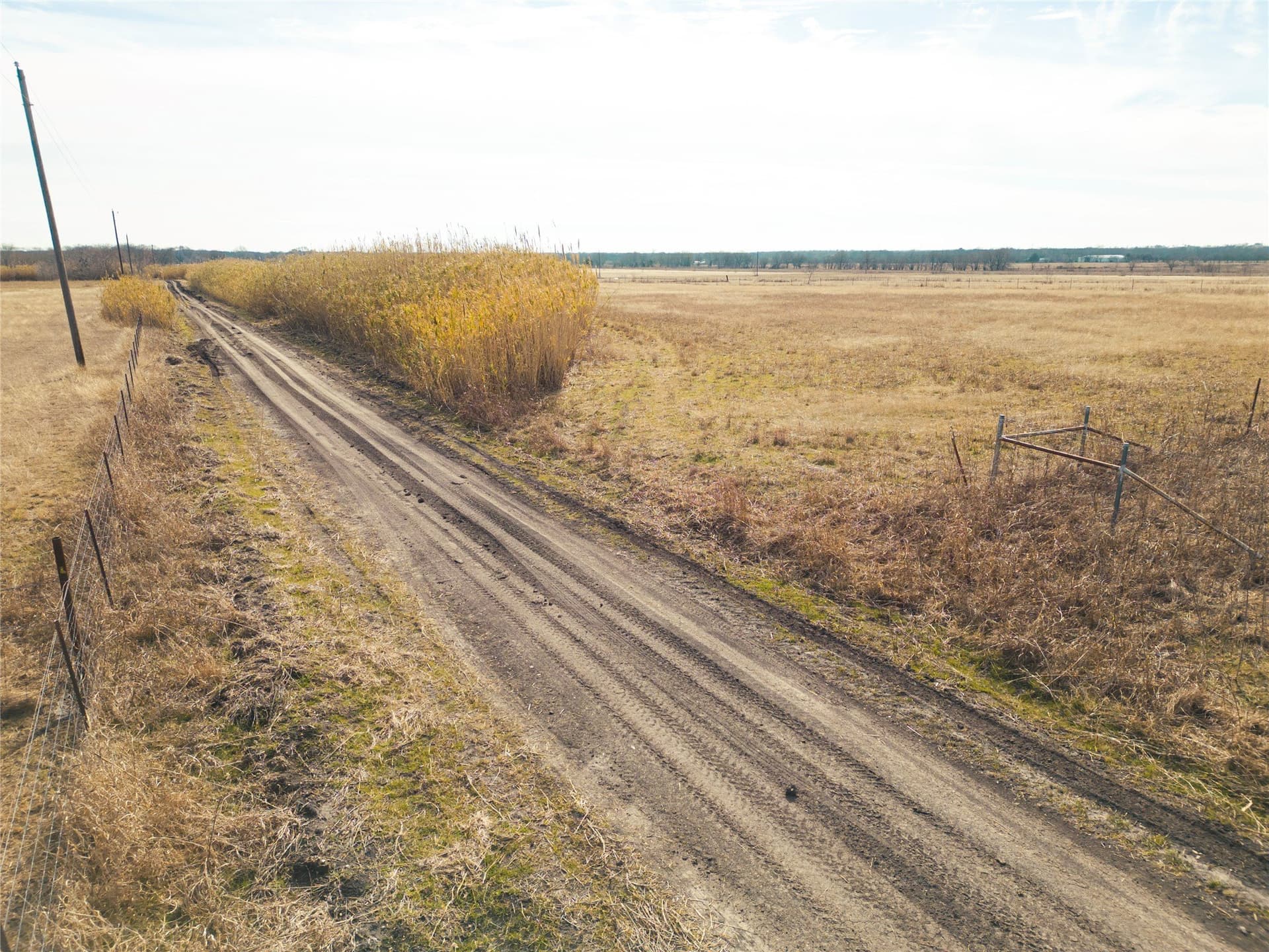 5.01 acres in Navarro County - photo 15